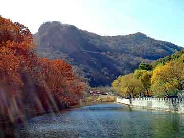 新澳门二四六天天彩，火山石产地